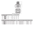 VALVEX CONTROLMIX4 Zawór 4-drogowy DN25 (1") 6094120 #2